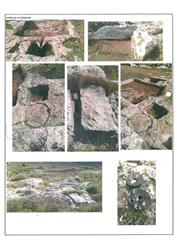 Sayfa_0125_Yeniköynazımbey Mahallesi Çamdeği Tepesi Arkeolojik Alanı_4-4.jpg